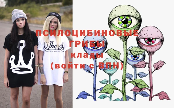 круглые Алзамай