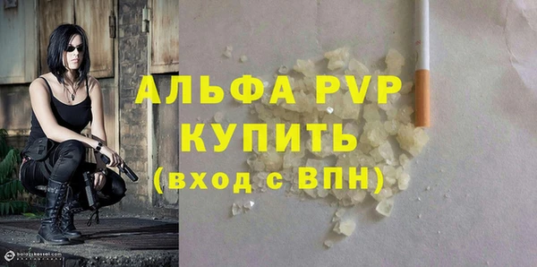 стафф Алексин